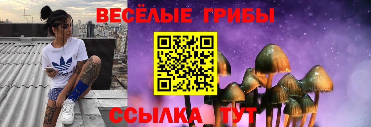 Псилоцибиновые грибы прущие грибы Гагарин